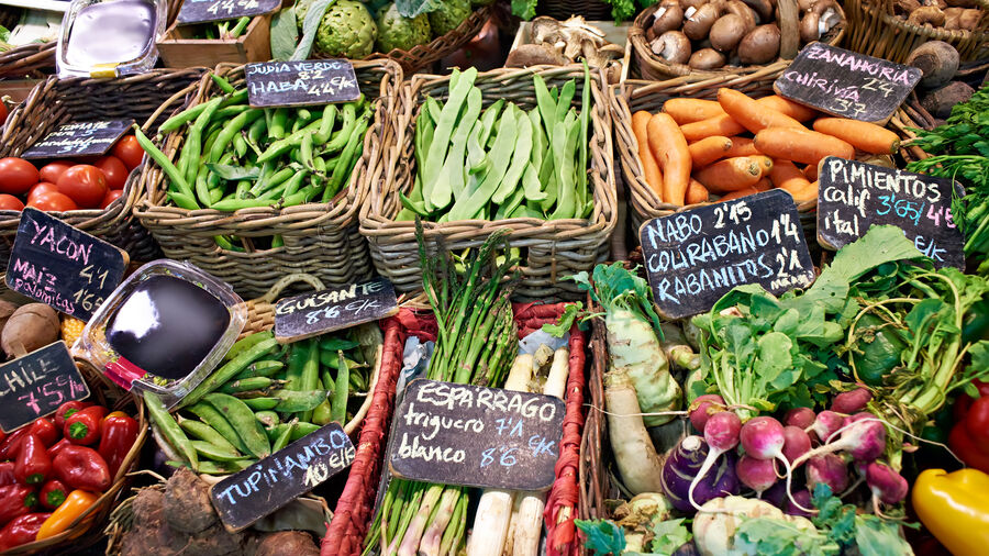 Certificate Foodand Society