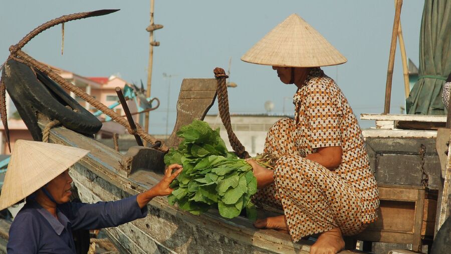 Minor Asian Cultures And Languages