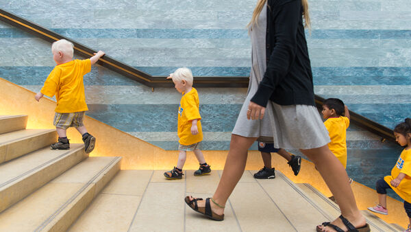 Major Early Childhood To 6Th Grade Generalist Certification