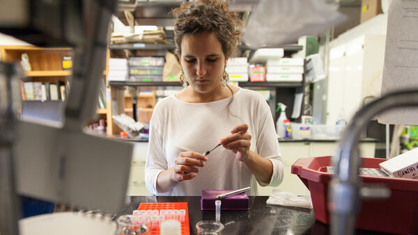 Major Biomedical Engineering