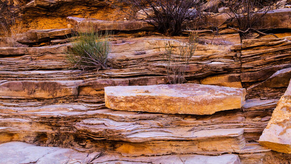 Major Geological Sciences